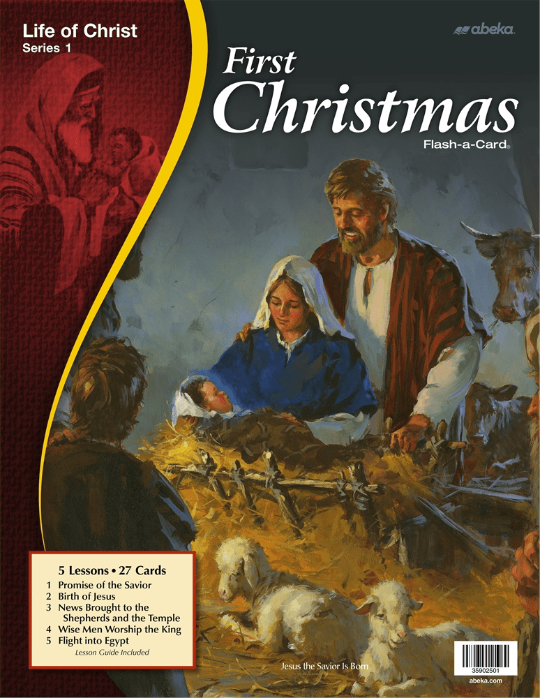 christ story nativity